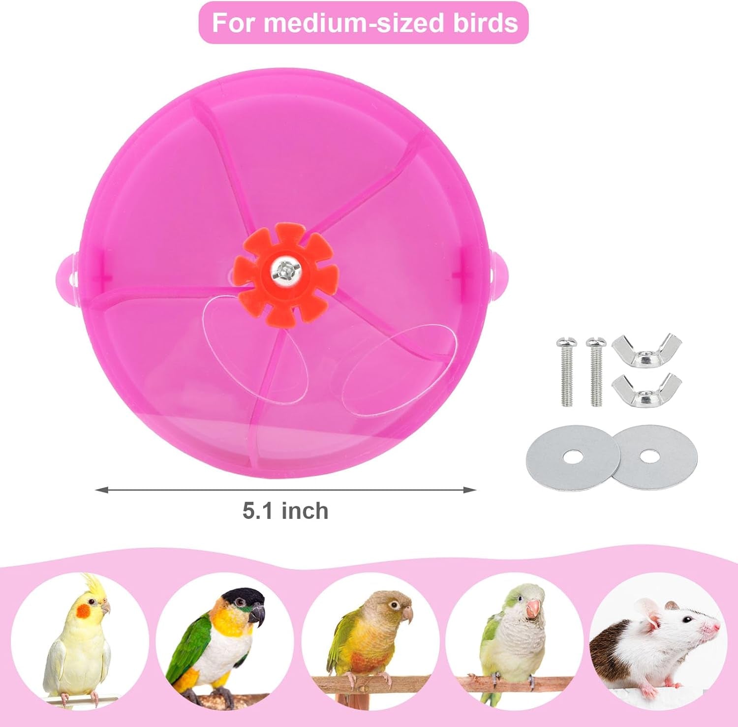 Bird Creative Foraging System Wheel Seed Food Ball Rotate Training Toy for Small and Medium Parrots Parakeet Cockatiel Conure